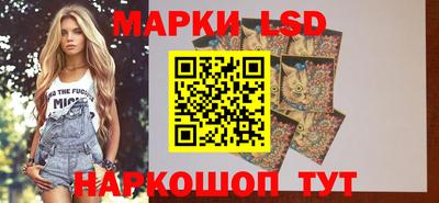 шишки Коммунар
