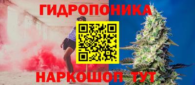 шишки Коммунар
